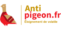Anti Pigeon